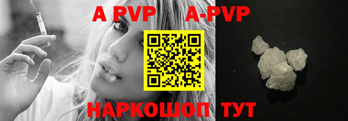 Alfa_PVP СК Елец