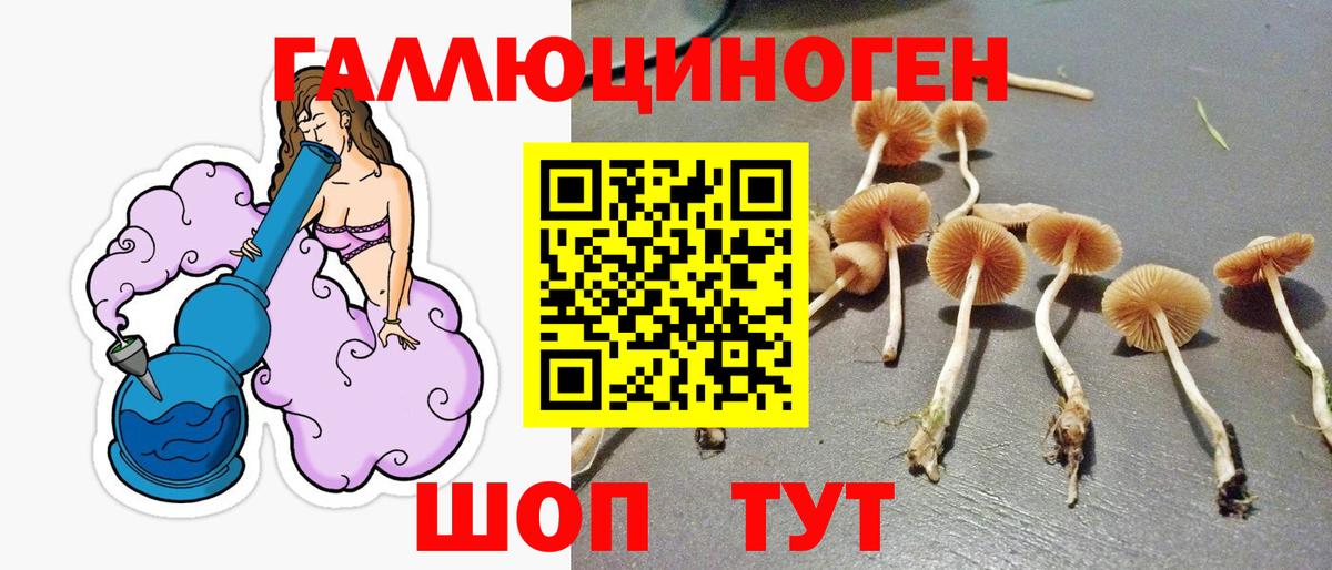 Елец  Псилоцибиновые грибы мицелий  Галлюциногенные грибы MAGIC MUSHROOMS  Вход с VPN 