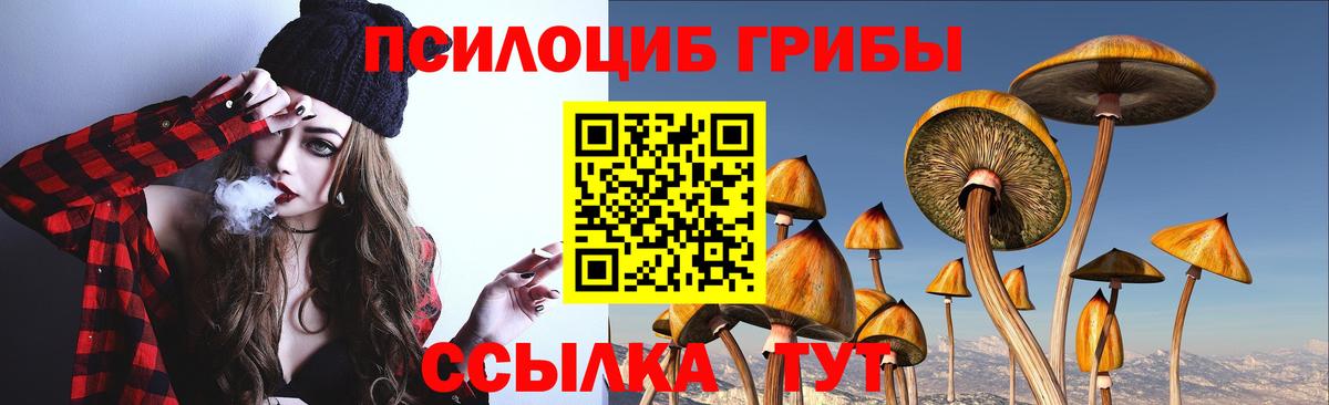 Псилоцибиновые грибы MAGIC MUSHROOMS Елец